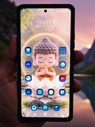 Xiaomi 11T Pro 256GB（⚠️淨機⚠️包機套⚠️不要也可⚠️）