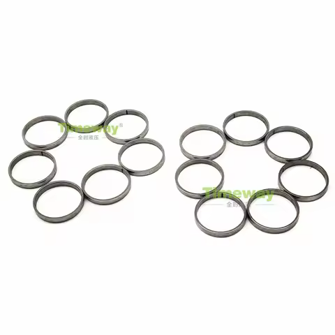 Piston Ring A8VO107 A6VE107 A6VM107 A6VM160 for Repair Rexroth Piston Pump