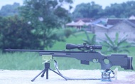 MAINAN SENAPAN ANGIN PCP RUGER SINGLE - EVOLUTION MONEL ASLI