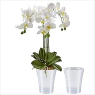 Santino Set of 2 orchid pots transparent with self-watering wick system - D 15 cm - Transparent - 2 