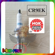 NGK CR8E CR9EK CR9E, CR10EK PLUG For R25 Z1000 ZXR R6