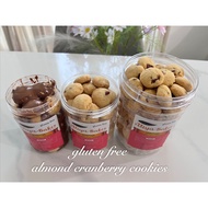 (gluten-free, egg-free) almond cranberry cookies