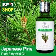 Pure Essential Oil (EO) - Pine - Japanese Pine Essential Oil - 50ml