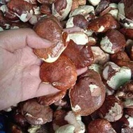 Gayam Mentah Serba Guna(Direbus MantapDibuat Kripik Juga MantapKemasan 1Kg)