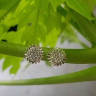 Anting Wanita Tindik Silver Kerabu Titanium Anti Karat Lapis Emas Aksesoris Fashion Korea Anting Ant