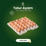 Domestic Chicken Eggs 1 Tray Contains 30 Eggs HT