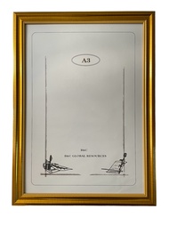 Photo Frame Size  8R / A4 / 11R / A3 - Gold Color(1pc)