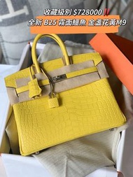 Hermes Birkin 25