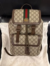 Gucci Bag 背囊（男女合用）