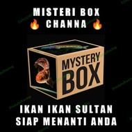 ♤ MISTERI BOX CHANNA SULTAN (Auranti, Stewarti, Red barito, Dll)
