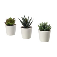 IKEA FEJKA Artificial Potted Plant with pot, in/outdoor Succulent 6 cm (3 pieces)