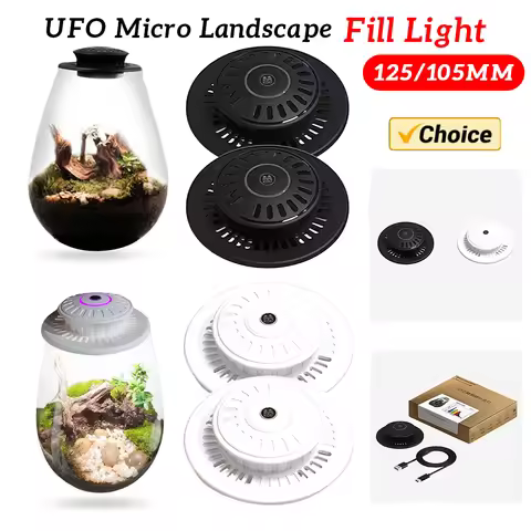 Desktop Miniature Plant Light 6500K Glass Terrarium Plant Growing Lamp Plant Grow Light for Indoor P