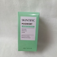 Skintific Mugwort Acne Clay Stick