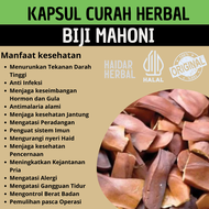 BIJI MAHONI SERBUK KAPSUL 100 curah Herbal, Mengatasi Infeksi Bakteri & Jamur, Menurunkan Berat Bada