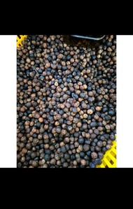 Trái đủng đỉnh thiên nhiên khô