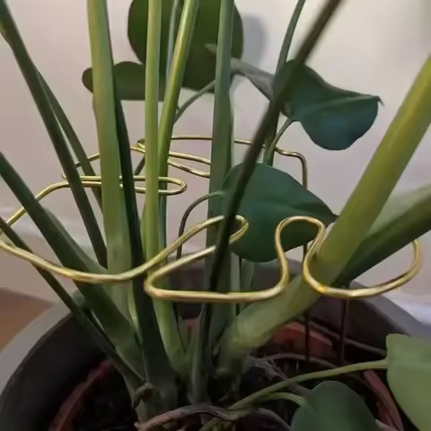 Monstera Support Pole Sturdy Monstera Shape Support Pile Easy Installation Decorative Plant Stand Ba