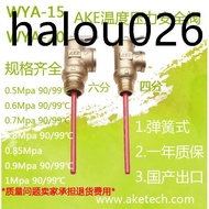 AKE Pressure Relief Valve 90 Degrees WYA-15 Safety Valve WYA-20 Temperature Pressure Water Retention