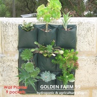 Jual wall planter bag dinding 9 kantong easy grow Awet & tahan lama 774