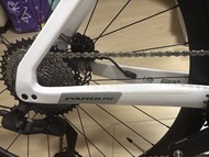 PARDUS 碳纖維公路車