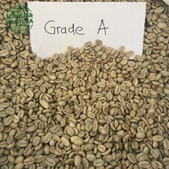 Promo / Terlaris Biji Kopi Arabica Papua Wamena - Green Beans Grade A Terbaik
