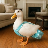 Duck Diapers – Adjustable Reusable Pants for Pet Ducks, Indoor Use, Fits Call Ducks & Small Breeds(B
