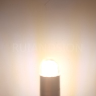 4pcs E10 led bulb 3V 4.5V 6V 9V 12V 24V 110V 220V Instrument Indicator Bulb Old Fashioned Flashlight