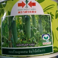 Benih Timun Panah Merah Thailand 50Gm 1600 Biji