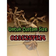 Mini Bonsai Aquascape