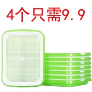 Balcony Indoor Vegetable Growing Handy Tool Hydroponic Vegetable Seed Hydroponic Plate Seedling Tray