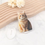 1pc Customised Acrylic Photo Stand, Personalised Photo Frame, Mother's Day/Valentine's Day/Graduatio