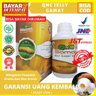 Jelly Gamat Gold - Qnc Jelly Gamat Original