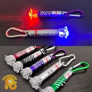 LED Presentation Meeting Laser Pointer with Flashlight