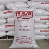 ♞Palay Seeds Binhing Palay Rice  Seeds authorized dealer of Tilah Seeds 40kilos Binhi Inbred Seeds