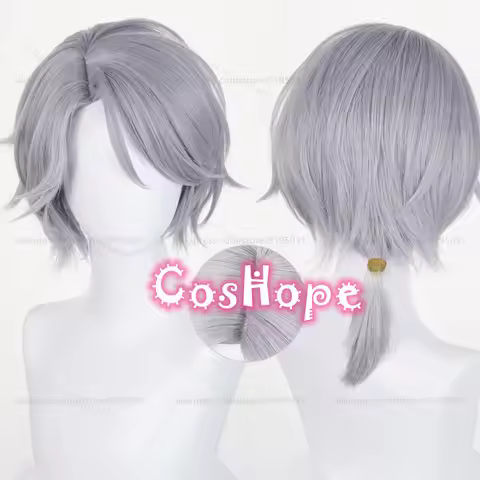 Aesop Carl Cosplay Wig IDV Embalmer 45cm Short Gray Wig Cosplay Heat Resistant Synthetic Wigs for Ca