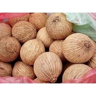 Fresh Coolie Fruit From The Wild 1KG