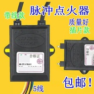 Gas Stove Igniter Two-Wire Double-Point Stove Pulse Igniter Stove Igniter Without Battery Box 1.5V