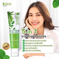 Dedent Toothpaste 9 Types Of Herbal