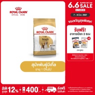 Royal Canin Beagle Adult โรยัล คานิน อาหารเม็ดสุนัขโต พันธุ์บีเกิ้ล อายุ 12 เดือนขึ้นไป (กดเลือกขนาดได้, Dry Dog Food)