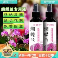 【樂樂屋】蝴蝶蘭營養液爆箭促開花爛根黃葉防病害專用肥料免稀釋批發