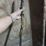 tongkat komando akar Bahar srat emas di jamin asli alam ukiran ratu 