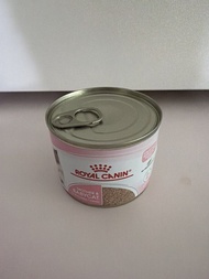 Royal Canin 幼母貓濕糧罐頭