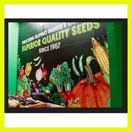 ➧ RPO Lettuce Lollo Bionda Seeds