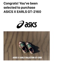 Asics x Erals GT-2160