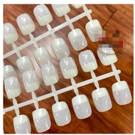 Cute short round Korean toe model nails 240 nails