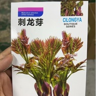 Hot-selling Instant Hair Northeast Thorn Dragon Sprout Seed Thorn Tender Sprout Seed Thorn Old Bag S