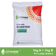 Hydroponics A & B Solid Fertilizer For Leafy Greens 2kg (Dilute to 10 Liters A and 10 Liters B)