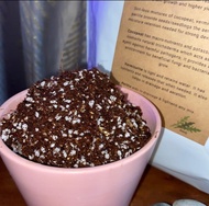 Germination Mix  Soiless Buy 10L get 1L FreeFor germination of vegetable/ herbs &amp; microgreen seeds  Can also be mix with potting soil  for better plant growth. 100% sterile &amp; free of contaminants &amp; pathogens.