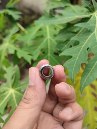 Ring pipa rokok alpaka once padudan model bulat ukuran 11