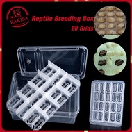 Reptile Feeding Box Transparent Snake Breeding Box Animal Habitat Cage