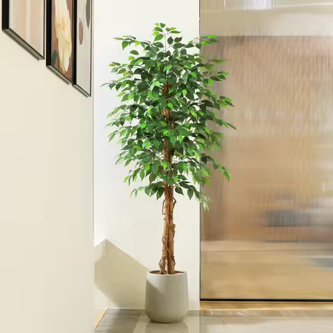Artificial Ficus Trees with Natural Curved Trunks, Silk Fake Ficus Tree in Plastic Nursery Pot for O